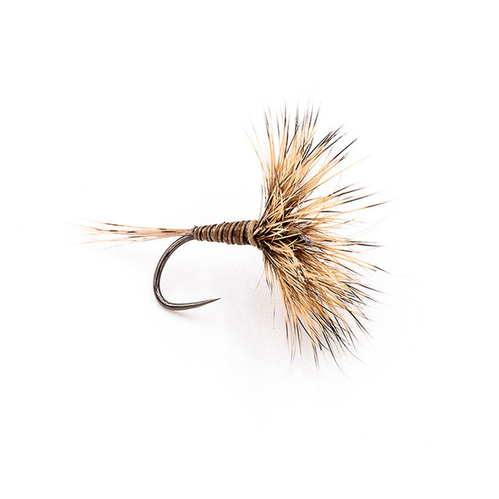 Mouche sèche Devaux AL 01